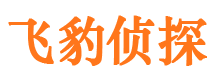 平乐外遇出轨调查取证